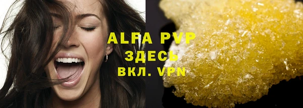 индика Володарск