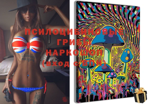 индика Володарск