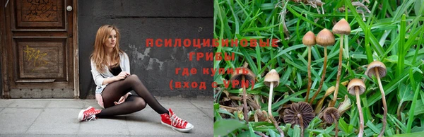 амф Волоколамск