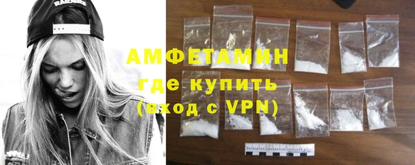индика Володарск